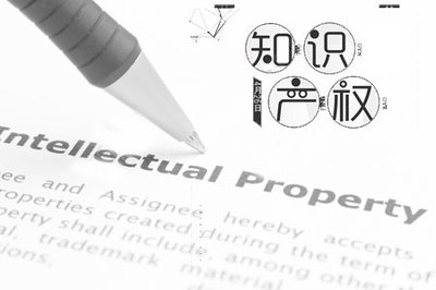 淄博奉毅知識產權同本公司簽署網站建設協議