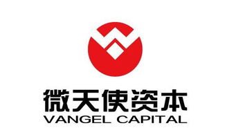 青島微天使商務信息咨詢管理企業(yè) 有限合伙 招聘信息 拉勾網(wǎng)